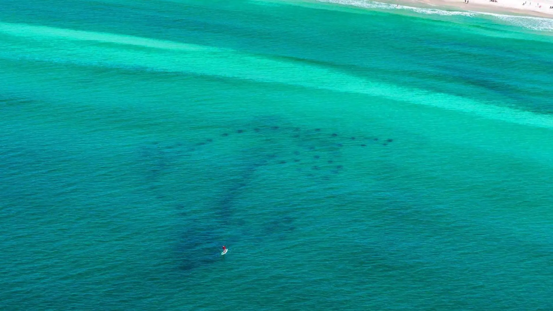Surfside Resort #505 Destin United States
